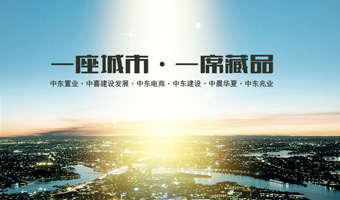 中東集團網(wǎng)站建設(shè)項目