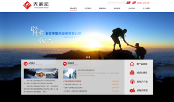天宸元集團官網(wǎng)建設(shè)